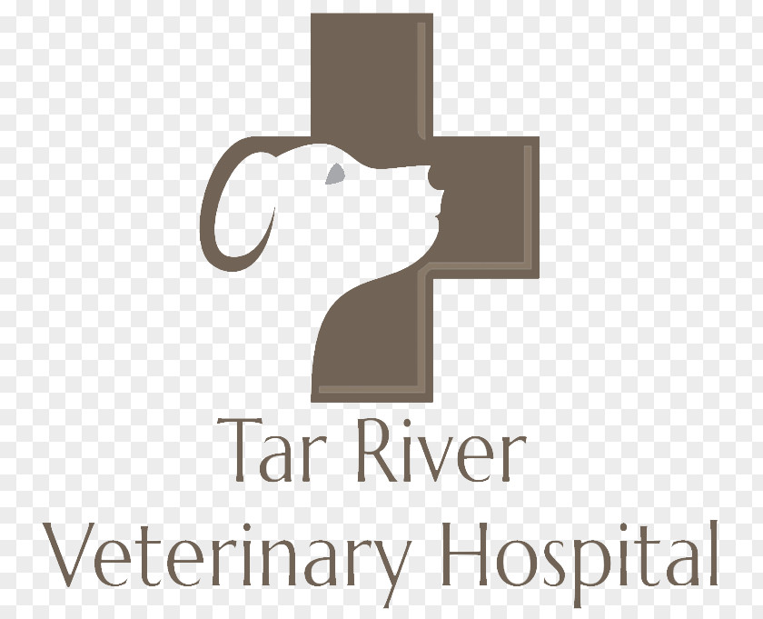 Dog Tar River Veterinary Hospital Veterinarian Bodegas Antonio Llobell Cardona Pet PNG