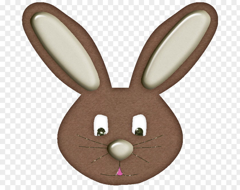 Rabbit Easter Bunny Hare Tea PNG