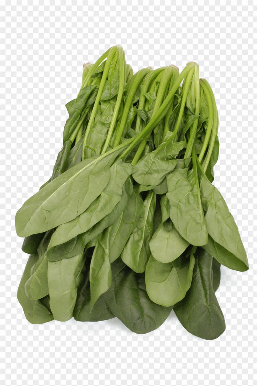 A Cabbage Spinach Leaf Vegetable PNG