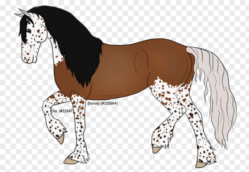 Mustang Foal Mane Stallion Colt Mare PNG