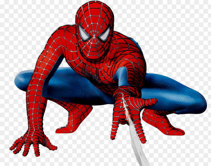 Spider-Man Image Marvel Comics Vector Graphics PNG
