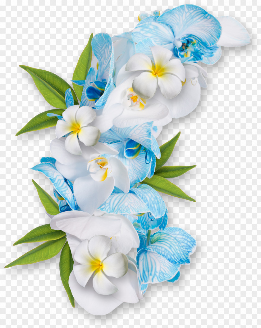 Flower Desktop Wallpaper Clip Art PNG