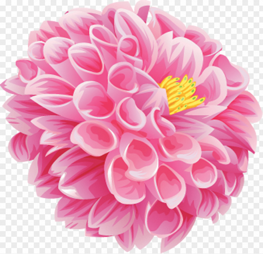 Flower Poppy Desktop Wallpaper Clip Art PNG