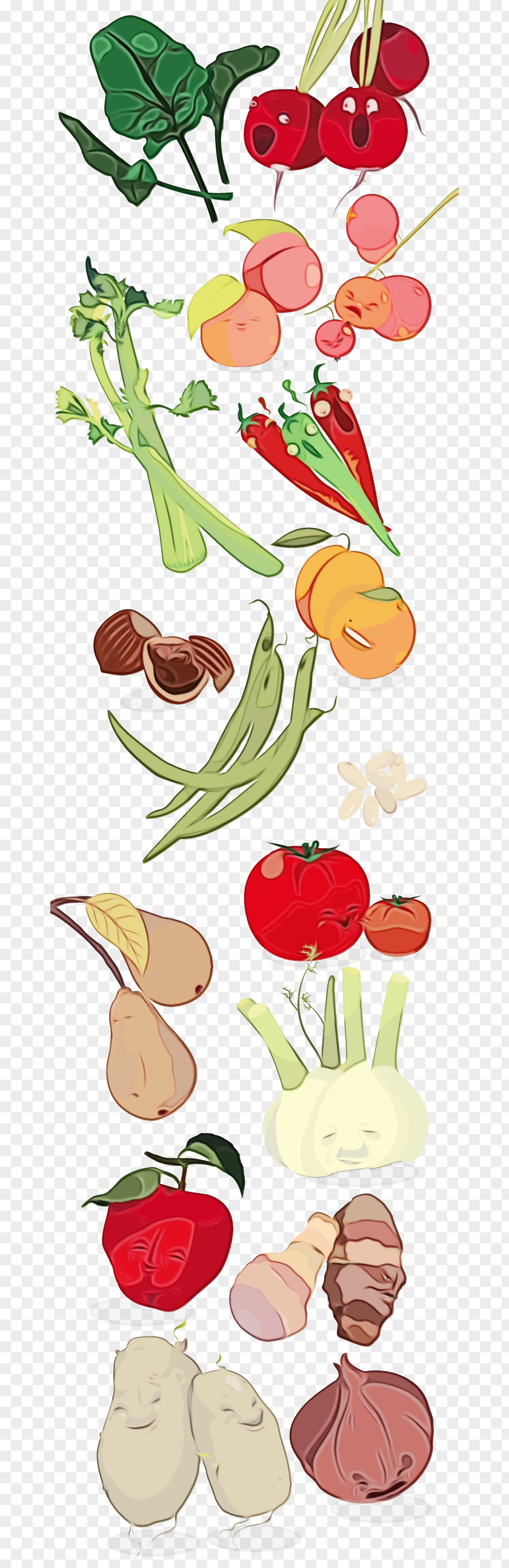 Floral Design PNG