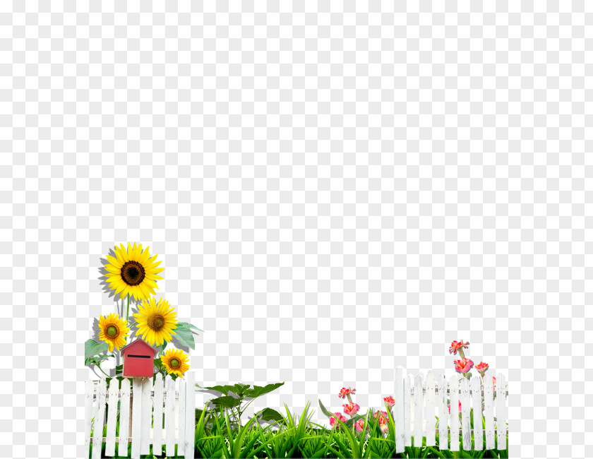 Garden Fence Material Download Wallpaper PNG