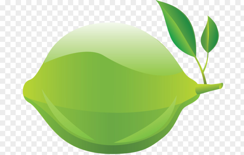 Lemon Lime Clip Art PNG