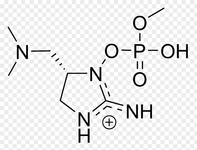 Microbial Mat Anatoxin-a(S) Chemical Substance Carboxylic Acid PNG