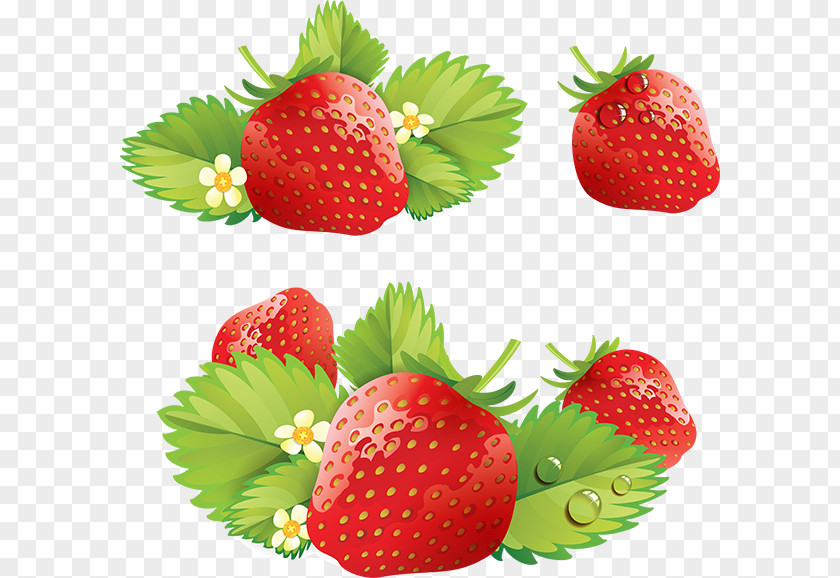 Strawberry Cream Cake Clip Art PNG