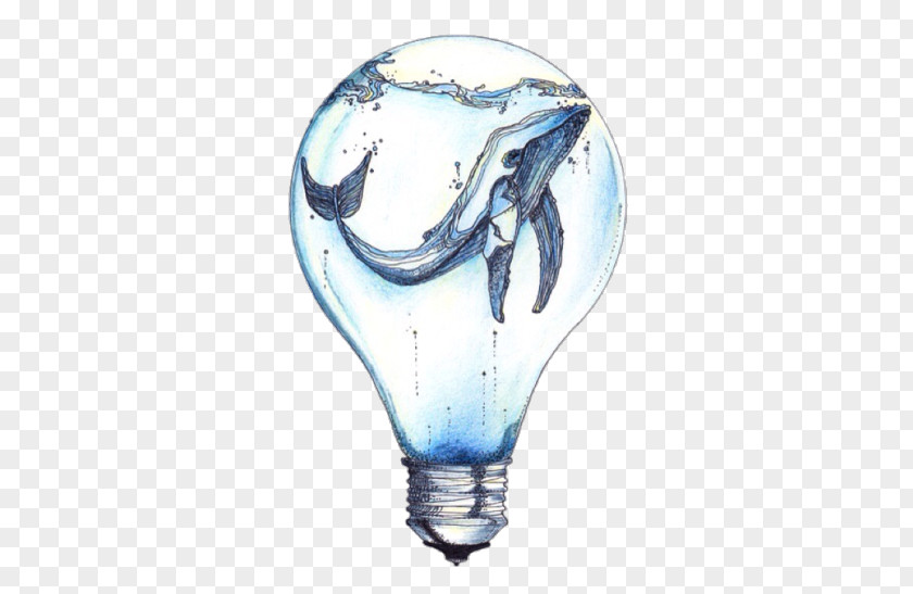 Watercolor Ocean Incandescent Light Bulb Whale Drawing Art PNG