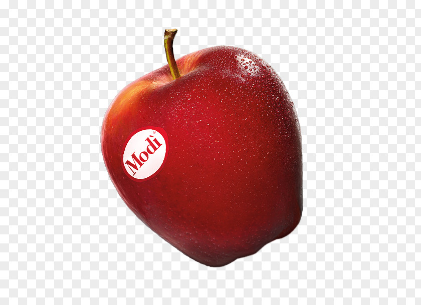 Apple Accessory Fruit McIntosh Laboratory Civ Consorzio Italiano Vivaisti PNG