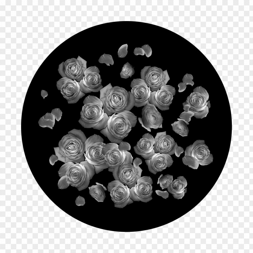 Circle Gobo Glass White Rose PNG