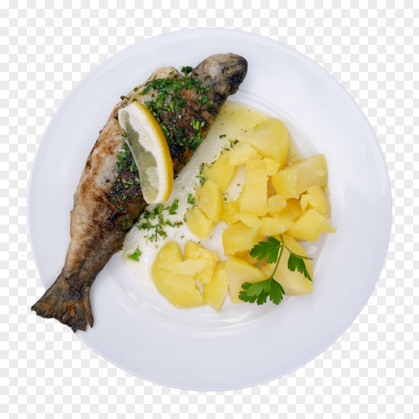 Dish Recipe Garnish Cuisine Fish PNG