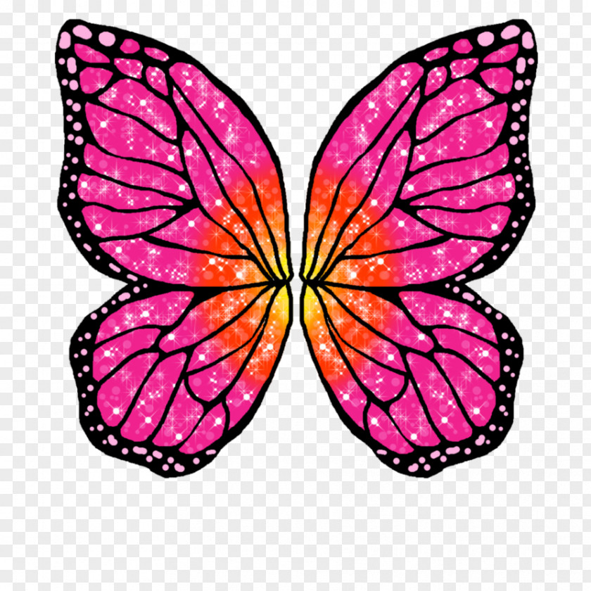 Watercolor Butterfly Barbie Mariposa Rayla Drawing PNG