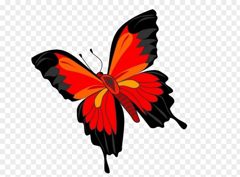 Butterfly Clip Art PNG