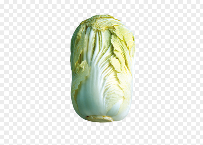 Chinese Cabbage Napa Vegetable Food PNG