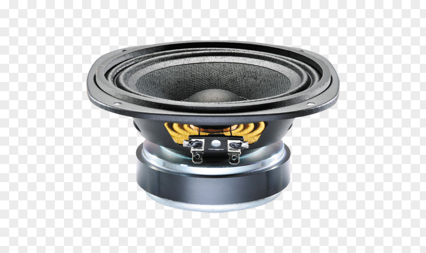 Field Coil Speaker CELESTION Loudspeaker Driver Celestion 100 WATT 8 INCH 8OHM T5332 PNG