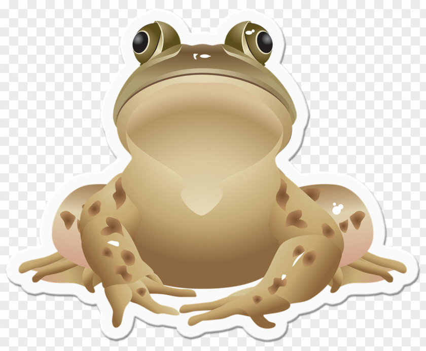Frog Jumping Contest Southern Brown Tree Clip Art PNG