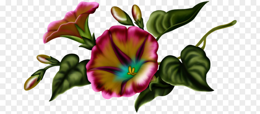 Internet Element Floral Design Flower Clip Art PNG