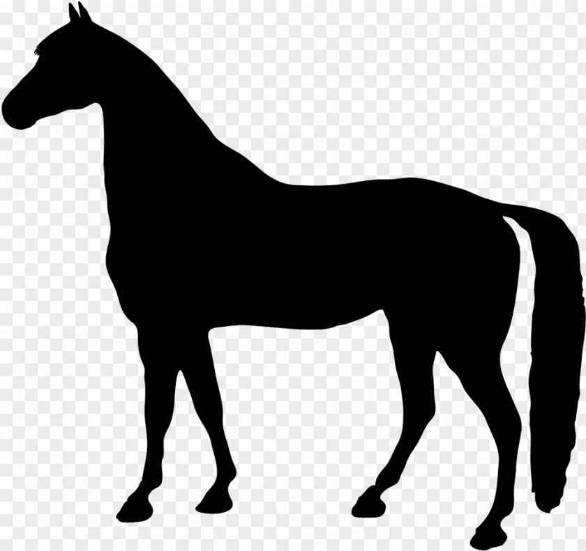 Silhouette Terrestrial Animal Horse Mane Figure Mare Clip Art PNG