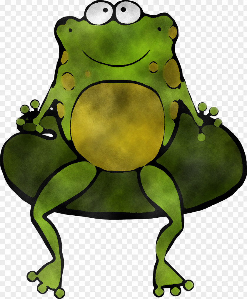 Tree Frog Bullfrog Green Cartoon Toad Hyla PNG