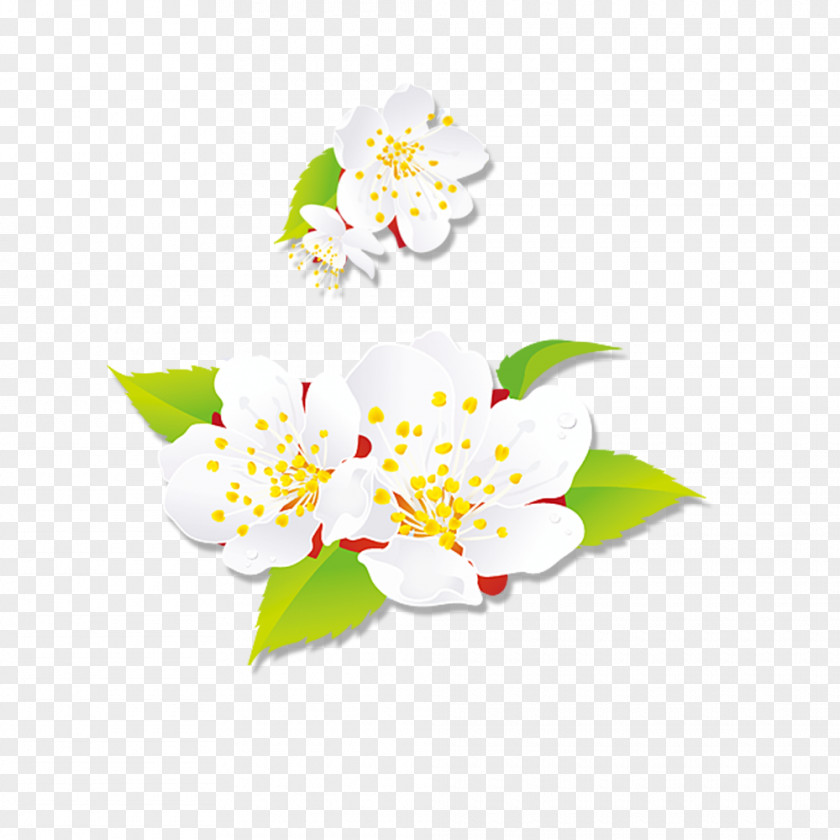White Peach Art Floral Design Happy New Year PNG