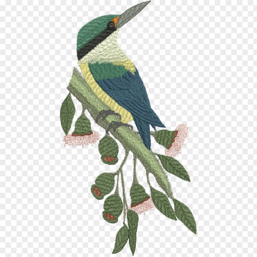 Bird Beak Sacred Kingfisher Forest PNG