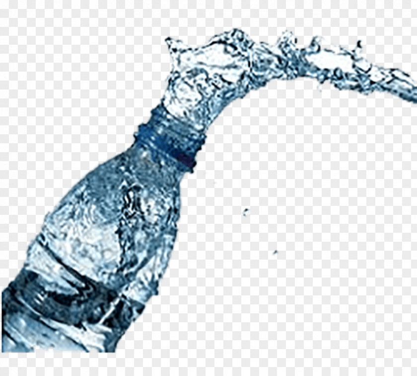 Bottle Bottled Water Fizzy Drinks PNG