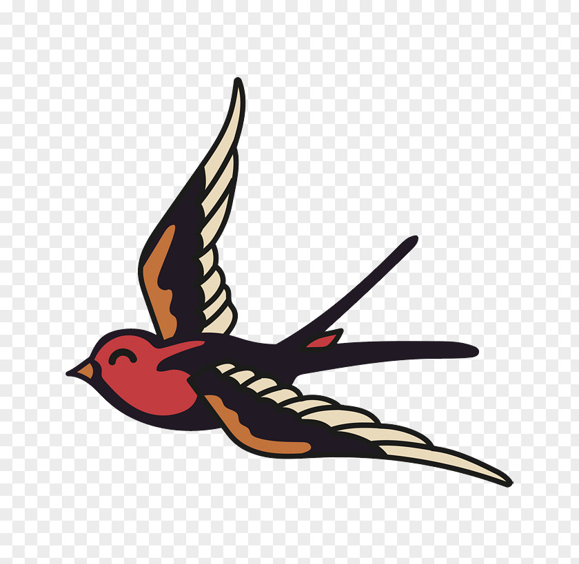 Golondrinas Vector Swallow Clip Art Euclidean Graphics PNG