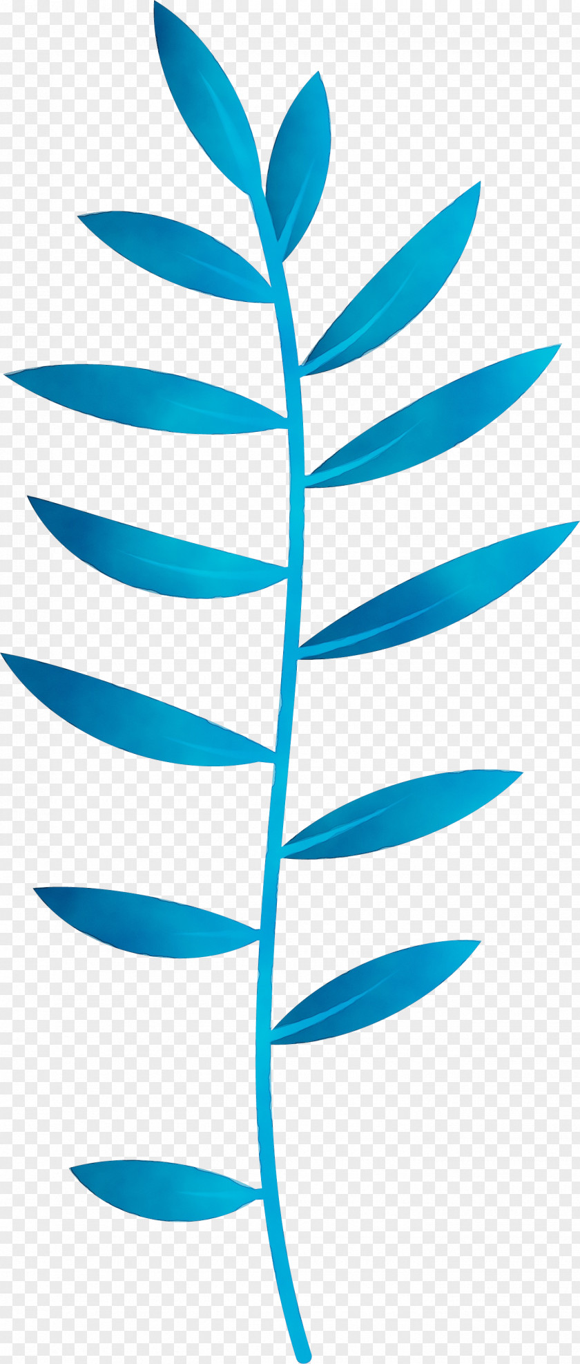 Plant Stem Leaf Angle Line Teal PNG