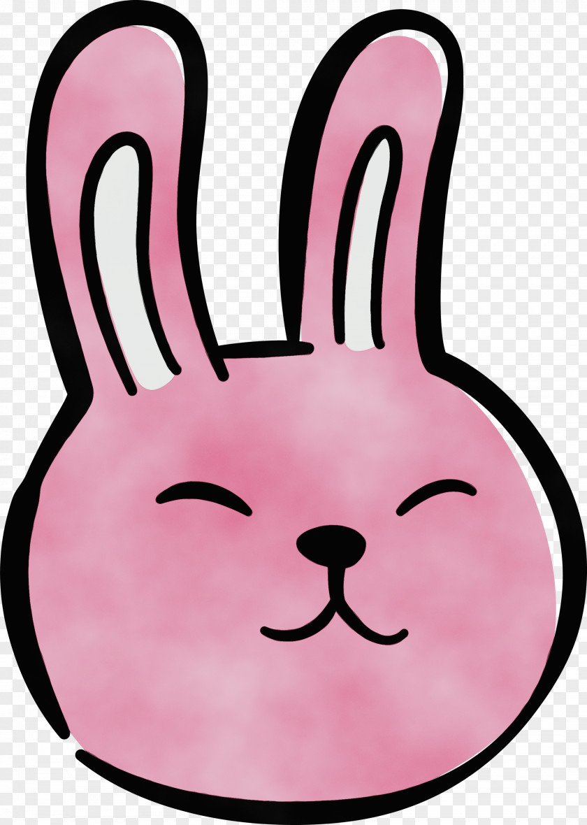 Snout Whiskers Rabbit Meter PNG
