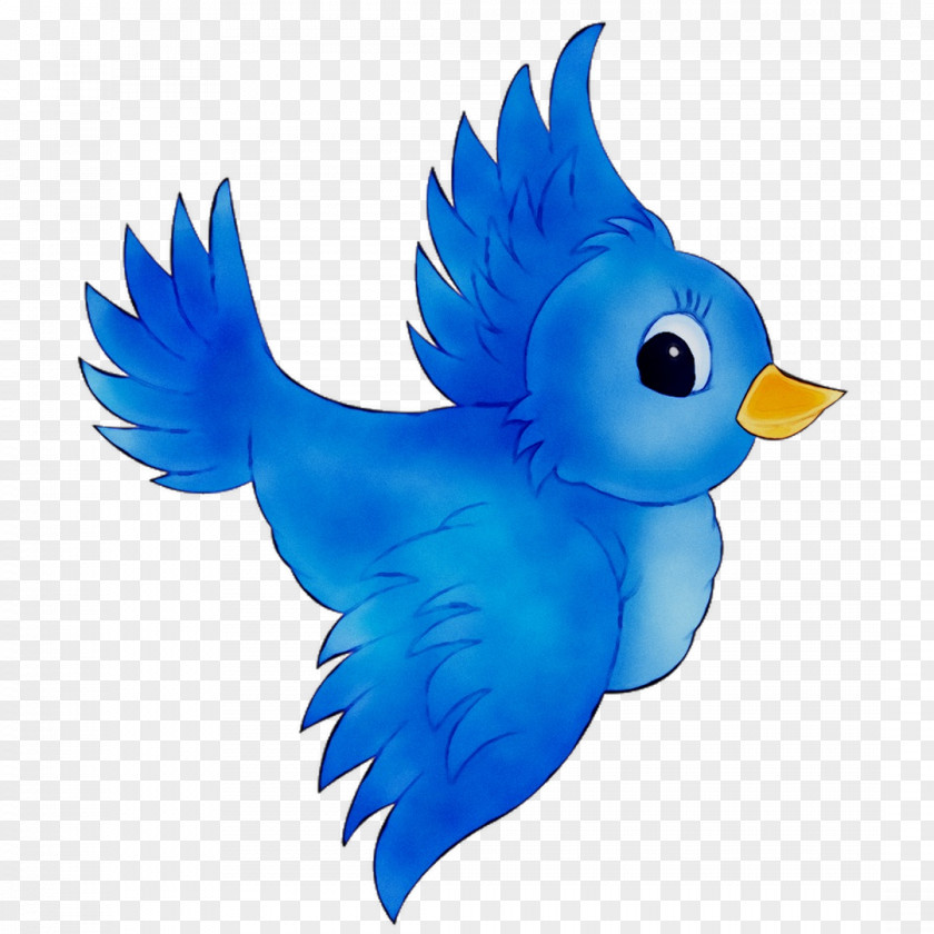 Blue Bird Mobile Homes Inc Feather Beak PNG