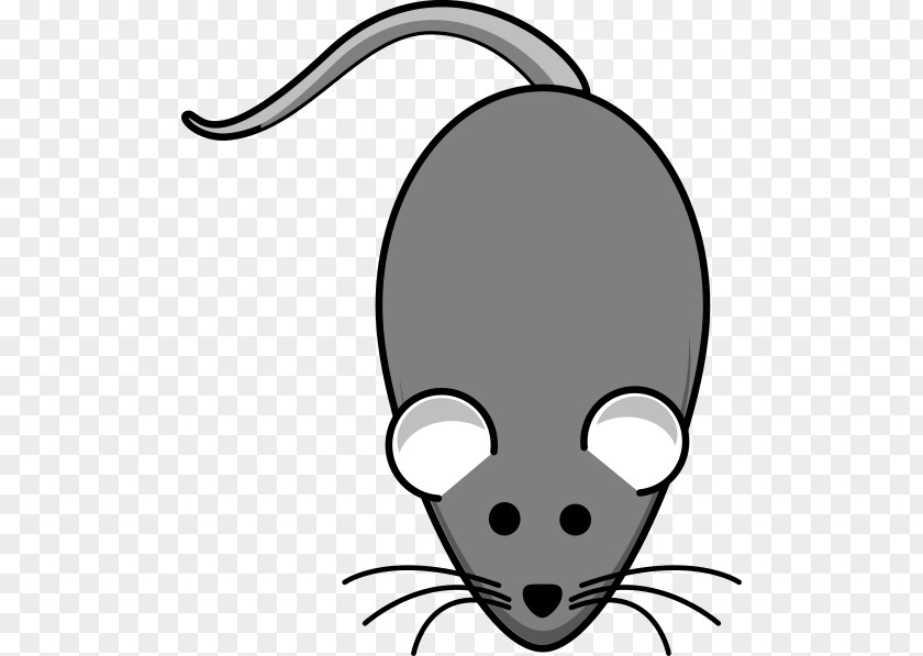 Rat & Mouse Line Art Clip PNG