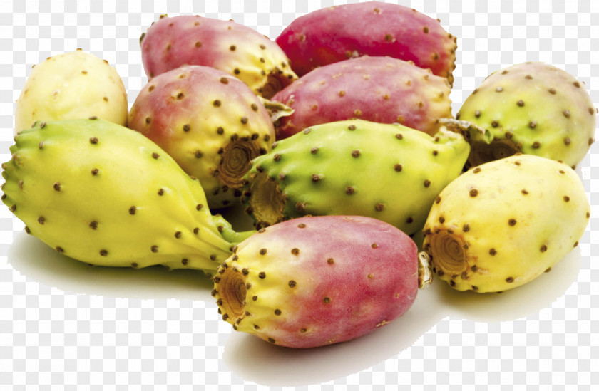 Figs Barbary Fig Seed Oil Cactaceae Argan PNG