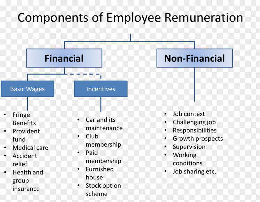 Remuneration Organization Job Evaluation Employment Employee PNG