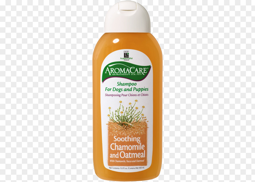 Shampoo Lotion Hygiene Chamomile Cosmetics PNG