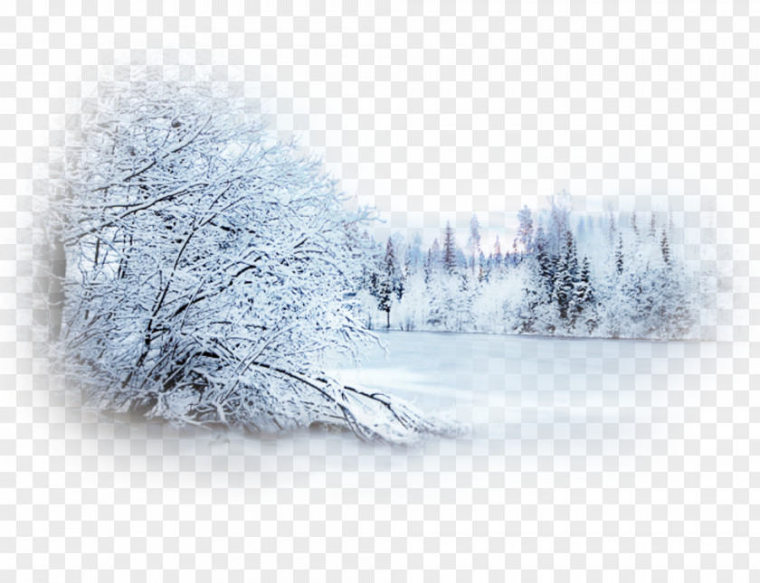 Snow Winter Blizzard Desktop Wallpaper Landscape PNG