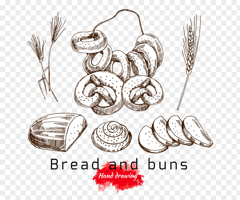 Wheat Bagel Bread Mantou Drawing PNG