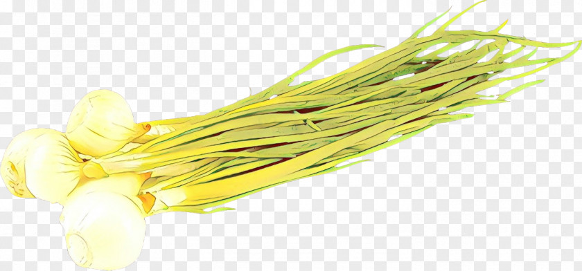 Yellow Vegetable Plant Welsh Onion Food PNG