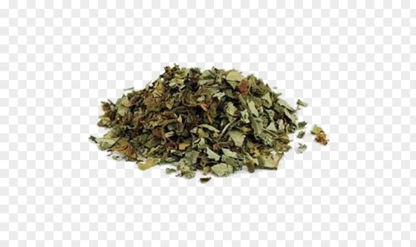 Leaf Lungworts Herb Hoodoo Hyssop Liquorice PNG