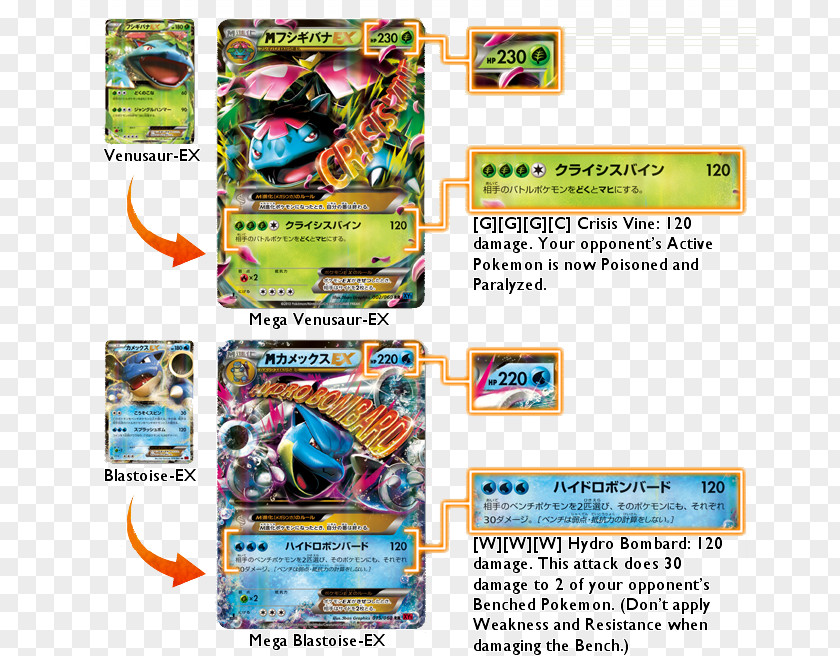 Pokemon XY Artic Cards Pokémon X And Y Venusaur Blastoise Charizard PNG