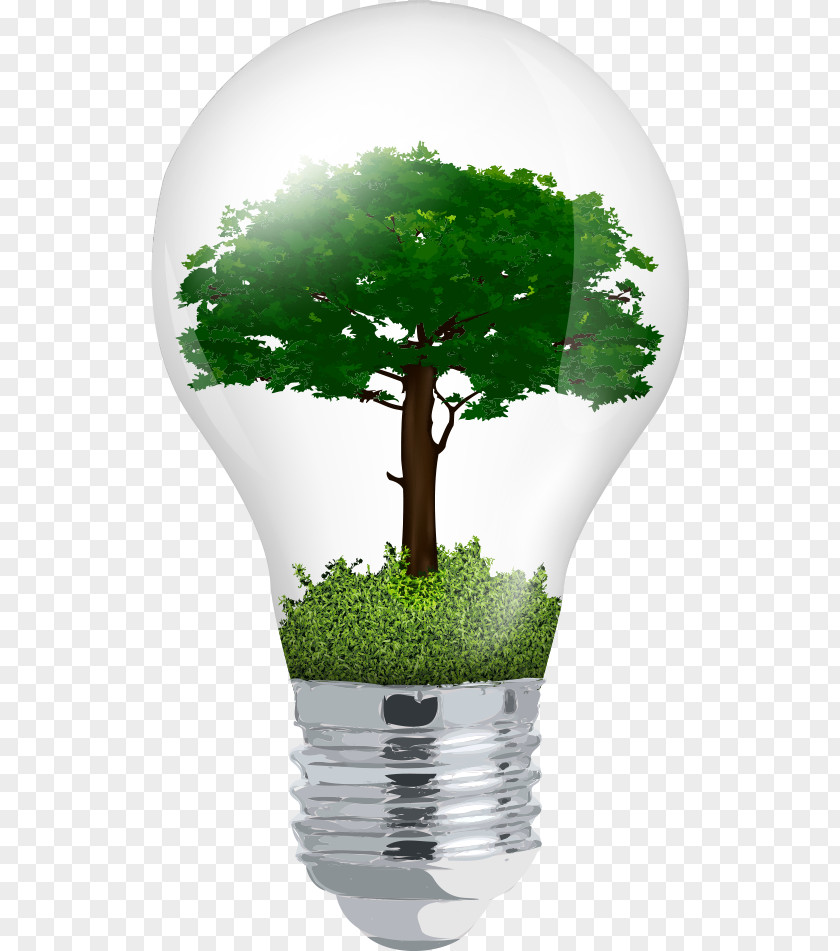 Vector Light Bulb In The Tree Incandescent Euclidean PNG