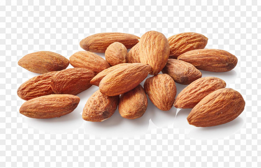 Almond Nut Food Apricot Kernel PNG