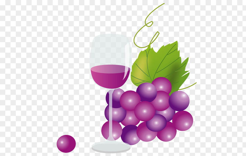 Grape Wine Juice Muscat Beaujolais Nouveau PNG