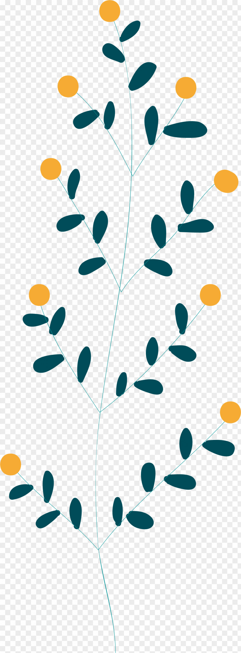 Leaf PNG