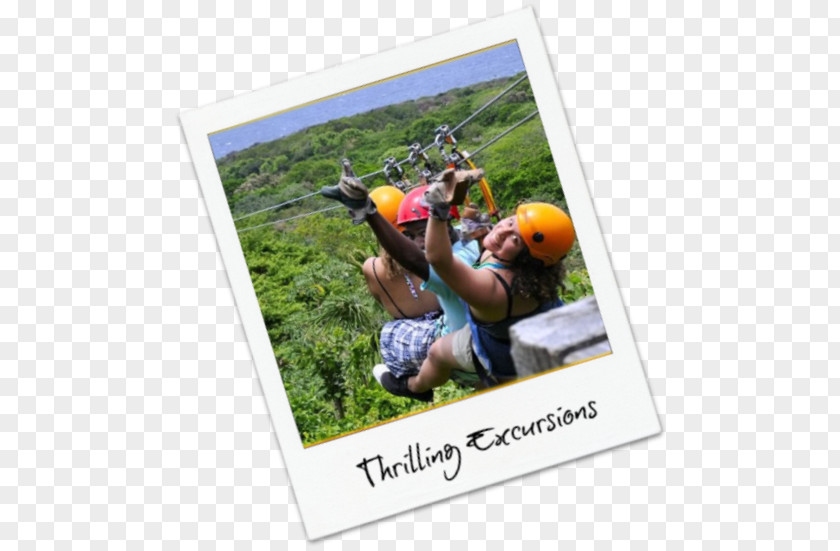 Vacation Advertising Recreation Zip-line Google Play PNG