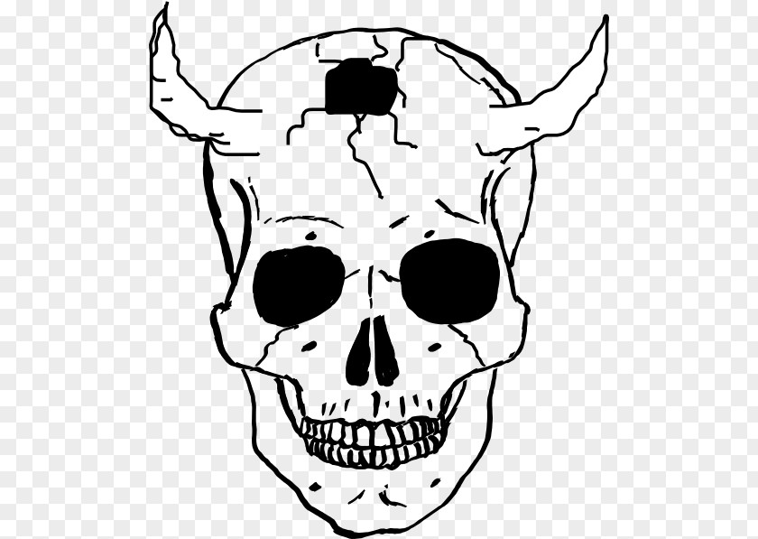 Vector Skull Human Skeleton Drawing Clip Art PNG