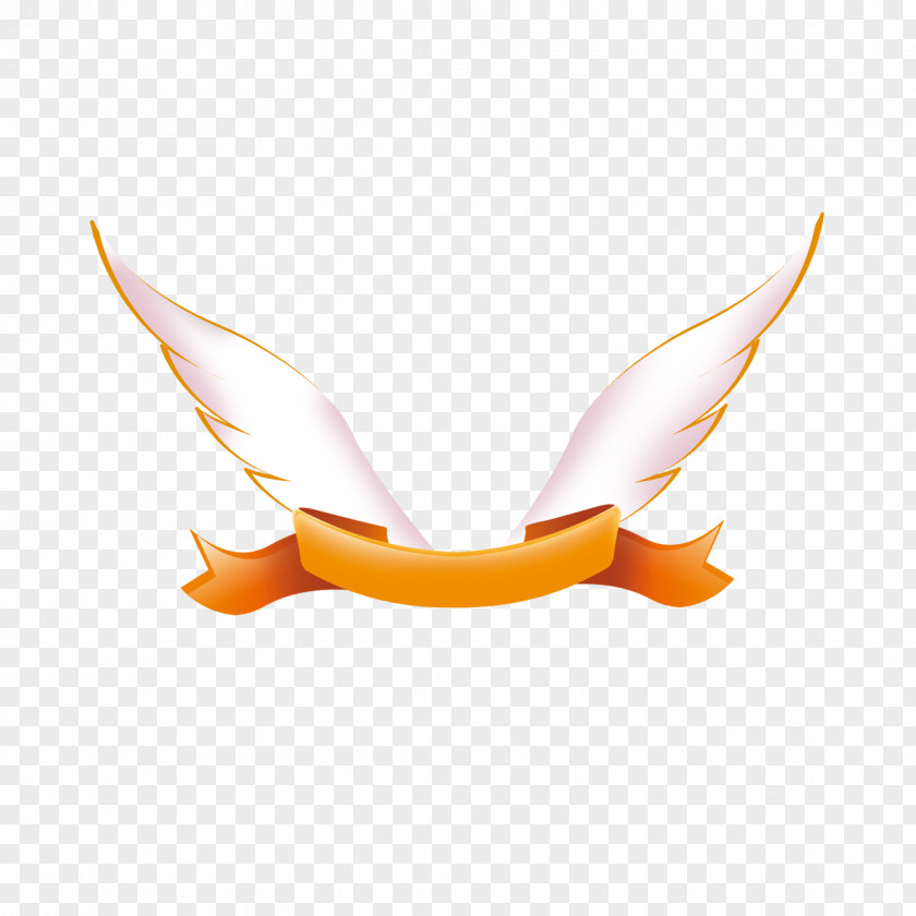 Wings Ribbon Wing PNG