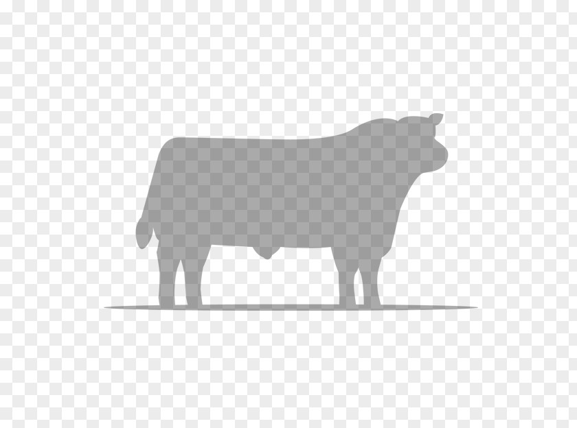 Angusbull Angus Cattle Holstein Friesian Bull Ox Aberdeen PNG