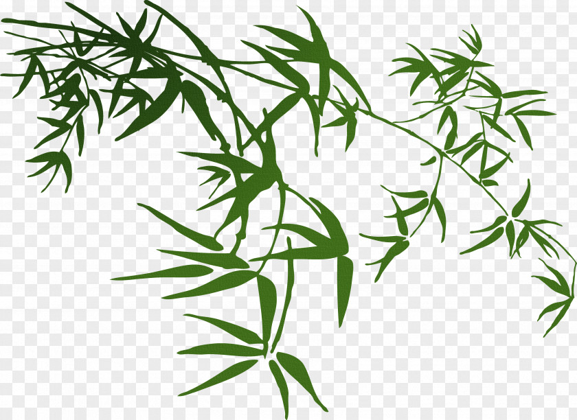 Chinese Wind Style Cartoon Pictures,Fresh Bamboo Download PNG