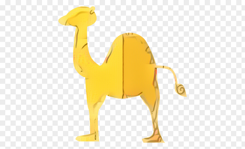 Dromedary Yellow Fauna Carnivores Terrestrial Animal PNG